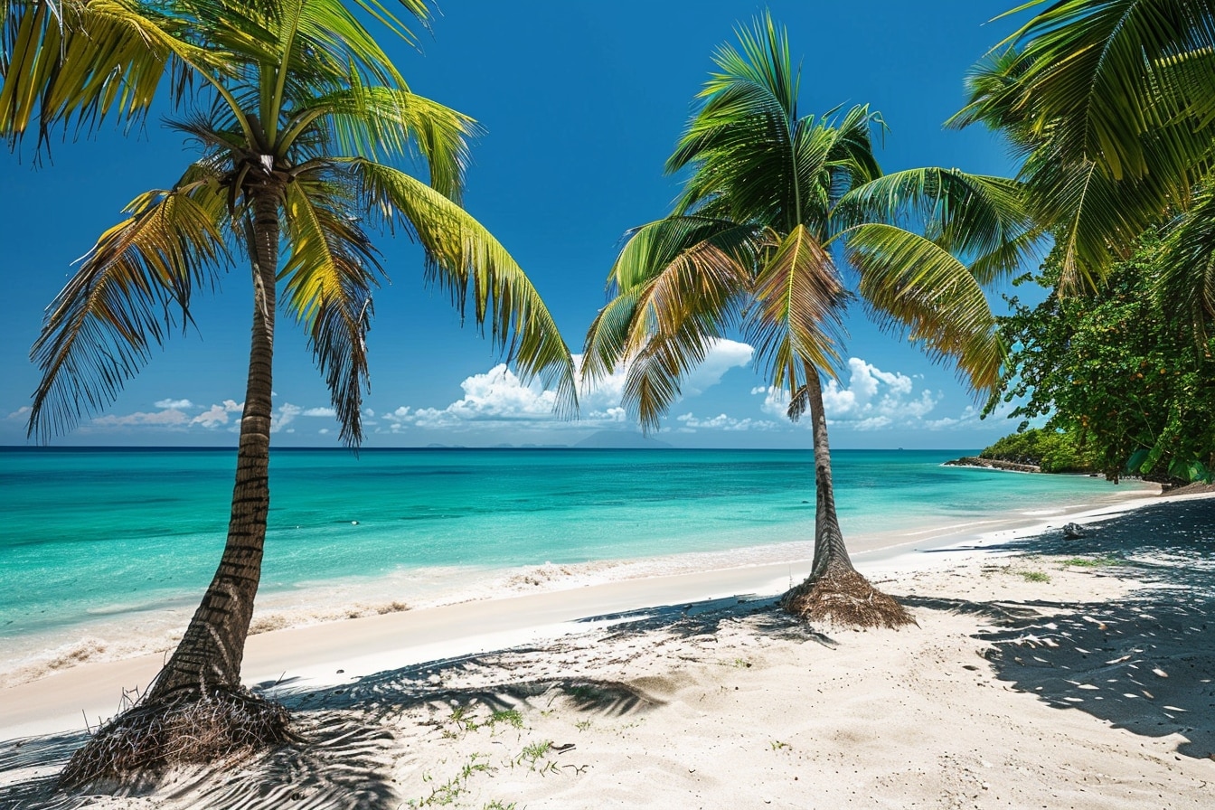 6 destinations ensoleillées pour échapper à l’hiver