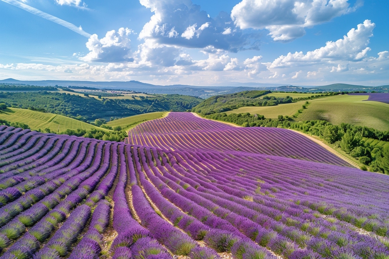 Découvrez ces trois points de vue spectaculaires en Provence-Alpes-Côte d'Azur qui marqueront votre esprit pour toujours